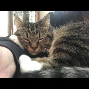 Meet your Posher, Stacey